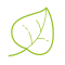 icons8 leaf 60